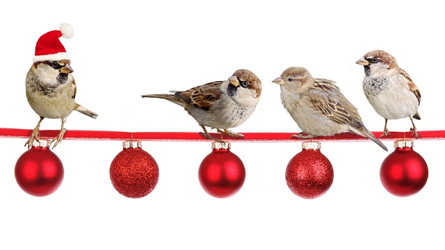 Christmas message photos - sparrows on ballballs